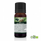 Agent biodinamic de daunare impotriva gandacului de Colorado BTT 10 ml SemPlus