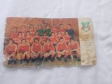 Fotografie steaua