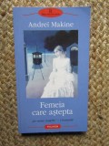 Andrei Makine - Femeia care astepta