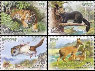COREEA DE NORD 2021 FAUNA ANIMALE SALBATICE foto