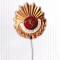 AMS# - INSIGNA TITLU ANTRENOR EMERIT, AC SCHIMBAT