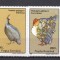 1995 Păsări domestice LP1386 MNH Pret 3,5+1 Lei