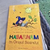 Habarnam in Orasul Soarelui - Nikolai Nosov