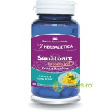 Sunatoare (St. John Wort) 60cps vegetale