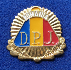 Insigna Militara DPJ GARDIENI PUBLICI POLITIA COMUNITARA Coifura insemn cascheta foto