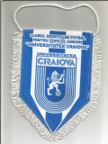 fanion-CLUBUL SPORTIV DE COPII SI JUNIORI UNIVERSITATEA CRAIOVA