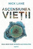 Ascensiunea vieții - Paperback brosat - Nick Lane - Art