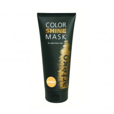 Masca de par coloranta aurie Artego Color Shine Mask Honey, 200 ml, Omega 3 si Omega 6 foto