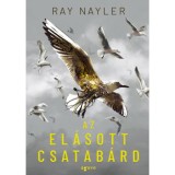 Az el&aacute;sott csatab&aacute;rd - Ray Nayler, 2026