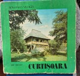 Ion Miclea -Curtisoara