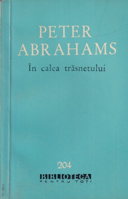 Peter Abrahams - In calea trasnetului