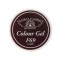 Gel color unghii, vopsea de arta, seria Rose Red, Global Fashion, 5gr, F69