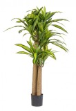 Dracena artificiala in ghiveci 110x150 cm
