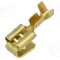 Terminal tip plat, pentru surub {{Orificiu pentru &amp;#351;urub}}, BM GROUP - BM 01298