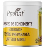 Amestec de Condimente pentru Prepararea Laptelui Auriu Eco 100 grame Pronat
