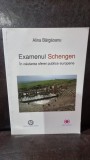 Examenul Schengen. In cautarea sferei publice europene - Alina Bargaoanu
