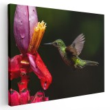 Tablou pasare colibri zbor langa flori 1602 Tablou canvas pe panza CU RAMA 60x80 cm