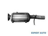 Filtru de particule Land Rover Range Rover Evoque (06.2011-&gt;)[L538]