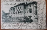 Carte postala, Bucuresti Palatul Cotroceni, inceput de secol XX