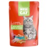 Wise Cat, Plicuri Hrana Umeda Pisici, Iepure in Sos, 24 x 100g