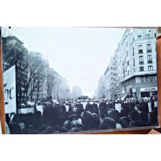 Fotografie, miting de protest, Bucuresti 2009