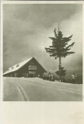 AMS# - VEDERE PREDEAL - CABANA &amp;bdquo;TREI BRAZI&amp;rdquo; RPR SEPIA NECIRCULATA foto