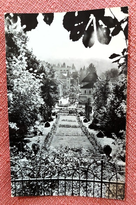 Govora. Vedere din parc RPR - Circulata, 1964