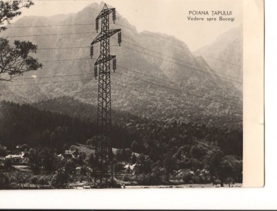 CPI B 11120 CARTE POSTALA - POIANA TAPULUI. VEDERE SPRE BUCEGI, RPR foto
