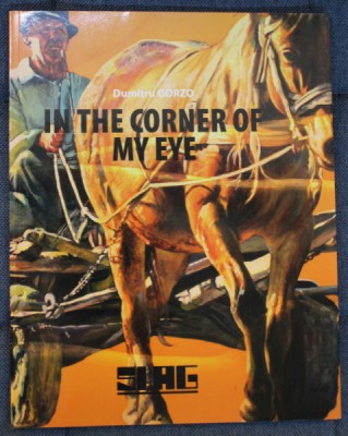 IN THE CORNER OF MY EYE by DUMITRU GORZO , CATALOG DE EXPOZITIE , JUNE , 2008 , TEXT IN LIMBA ENGLEZA foto