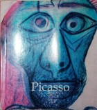 PICASSO 1881 1973