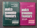 ANALIZA ECONOMICO-FINANCIARA - Valceanu, Robu (2 volume)