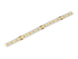 Bandă LED IPIXEL 2835 240 LED/m Alb Cald/Alb Rece 10mm S010240BC2PZ/C1