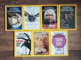 lot 7 reviste National Geographic January - July 2005, in limba engleza