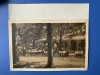 Carte Postala - Fagaras - Parcul Regina Maria cu defect, Necirculata, Fotografie