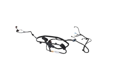 Cablaj ușă st&amp;acirc;nga spate TESLA MODEL Y 2022 OEM: 1489053-00-E 24587592 foto