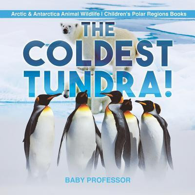 The Coldest Tundra! Arctic &amp;amp; Antarctica Animal Wildlife Children&amp;#039;s Polar Regions Books foto
