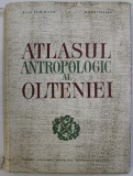 ATLASUL ANTROPOLOGIC AL OLTENIEI de ST. M. MILCU , H. DUMITRESCU , 1968