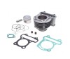 Set motor GY 80 cm3 Polonez (47 mm)
