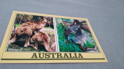 CARTE POSTALA AUSTRALIA NECIRCULATA foto