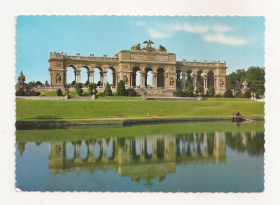 FA50-Carte Postala- AUSTRIA - Wien, Schonbrunn, Gloriette, necirculata 1968 foto