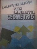 PRIN LABIRINTUL GEOMETRIEI-LAURENTIU DUICAN