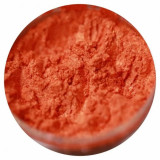 Cumpara ieftin Pigment Machiaj Ama - Love Me More, No 558