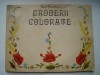 Broderii Colorate Ana Pintilescu - Arta Populara, Editura Tehnica 1975 + Planse Broderie
