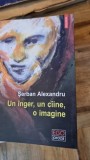 Un inger, un caine, o imagine - Serban Alexandru