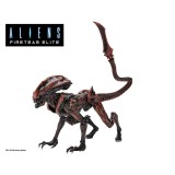 Aliens: Fireteam Elite Action Figure Prowler Alien 23 cm