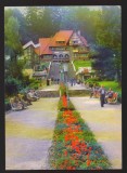 CPIB 22946 - CARTE POSTALA - PREDEAL, PRIMARIA