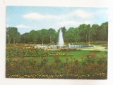 RF157 - Carte Postala - Roman. Vedere din parc, necirculata 1972