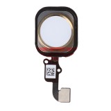 Buton Meniu iPhone 6 / 6 Plus Auriu + Flex, Piese Telefon, Ambalaj Bulk