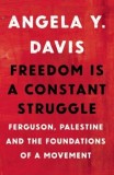 Freedom Is a Constant Struggle: Ferguson, Palestine, and the Foundations of a Movement