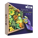 Set creatie wood &amp; craft - succulents, 21*21cm - energy